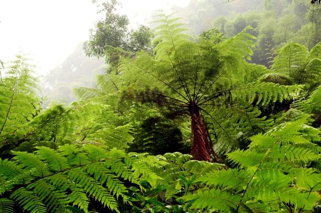 贵州这座转折之城，被茅台光芒掩盖，人少景美，10月错峰游就选它