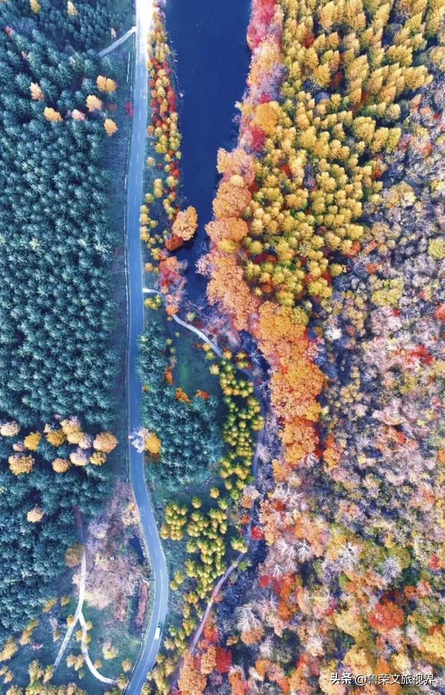 本溪：北国红枫深处的诗意秘境