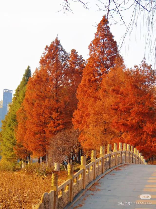 原来真的有城市，可以一天24小时都快乐~（2）