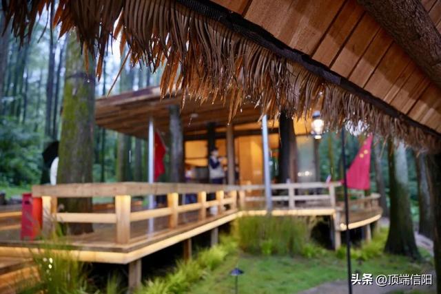 三月女士免票，男士半价！鸡公山邀您双园畅玩