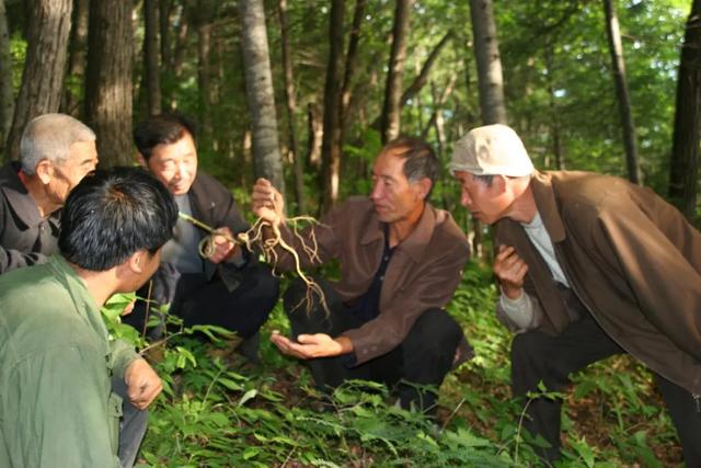 用一场抚松休闲之旅，抓住假期的尾巴！