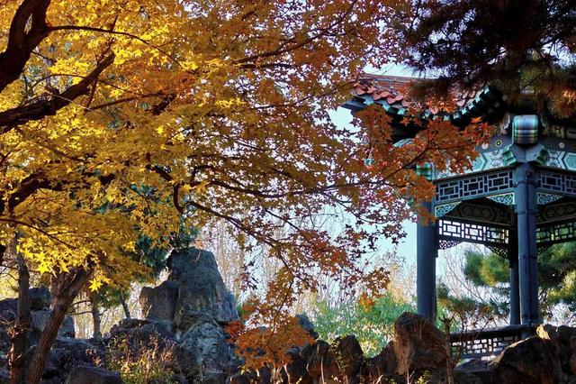 “枫”景如画！解锁伪满皇宫博物院的深秋诗意