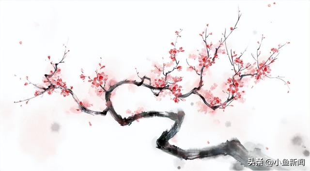 官宣！苏州梅花市集