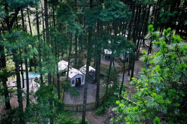 “趣”南川，野一“夏”！南川露营地全攻略，藏着夏日清凉答案→