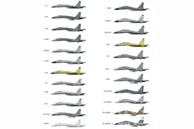 沈飞居功至伟！苏27进入中国30年，发展出17款，性能更是脱胎换骨图片