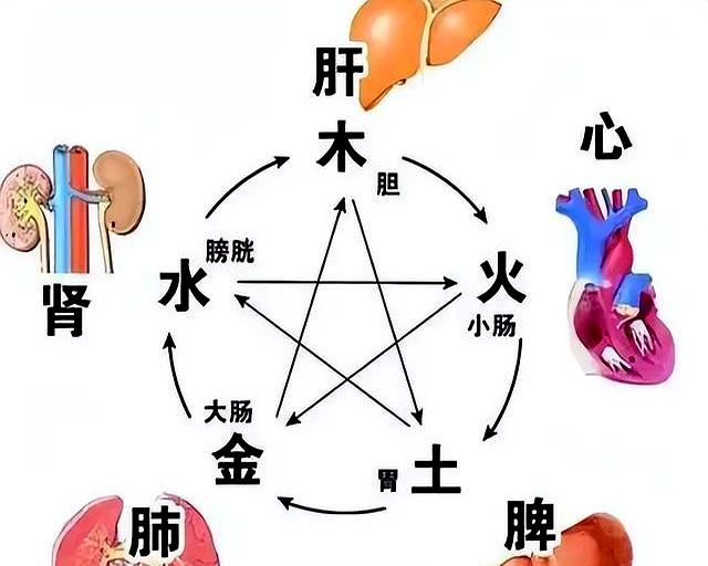 自闭症孩子聪明着呢！三味药配好，把气“撒”出去，孩子就通透了