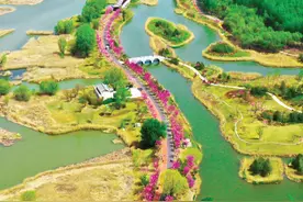 长治藏了个‘小伊犁’！4月自驾必看：6大免费花海+非遗美食，路线图已备好！图片