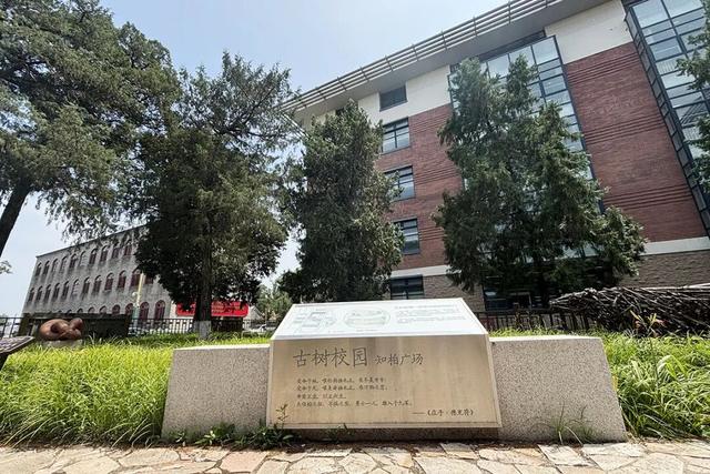 顺义唯一一处古树群，在——