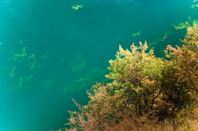 中国彩林第一县！黑水的美镜头不足以描绘！