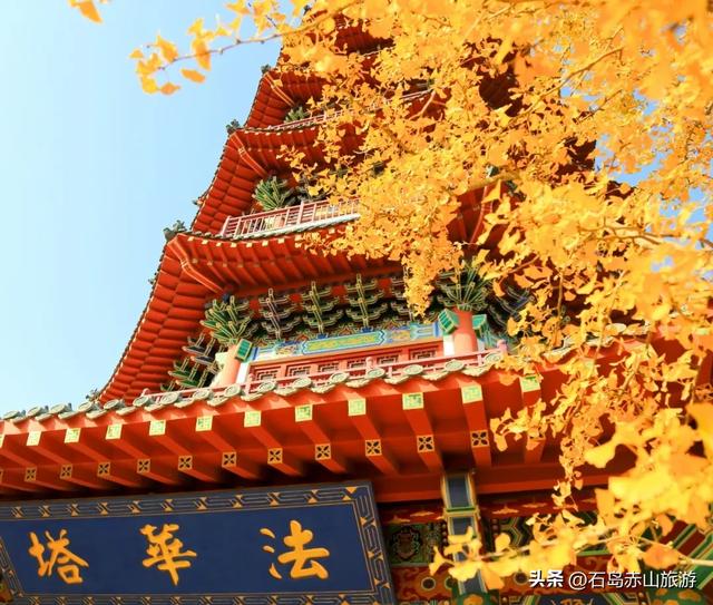 赤山红叶已红透!这场治愈之旅,错过等一年!