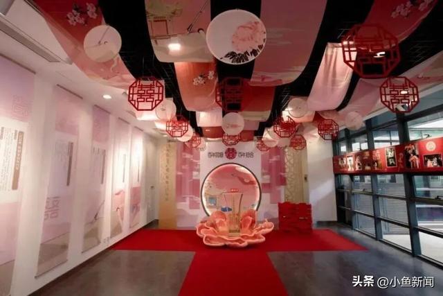 逛博物馆，能领结婚证啦！