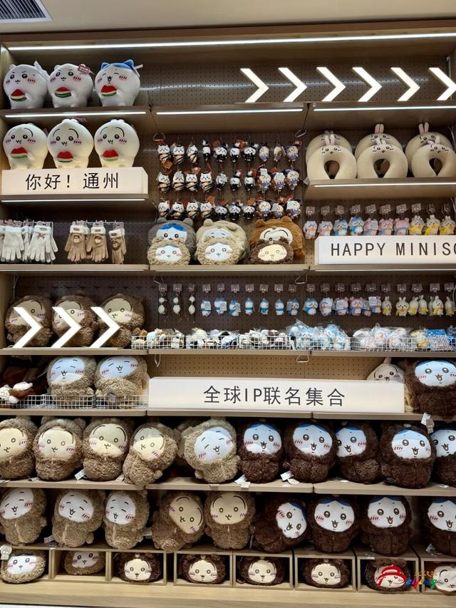 太火爆！“湾里”正式启幕！现场直击来了——