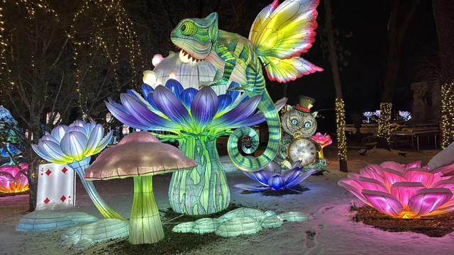 @所有人 1月24日解锁全场景年味！“2026年京彩新春彩灯嘉年华”即将一键焕新！