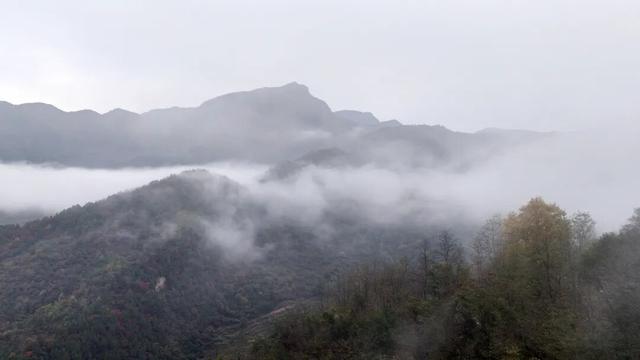 不到西坡，怎知秋色如许？