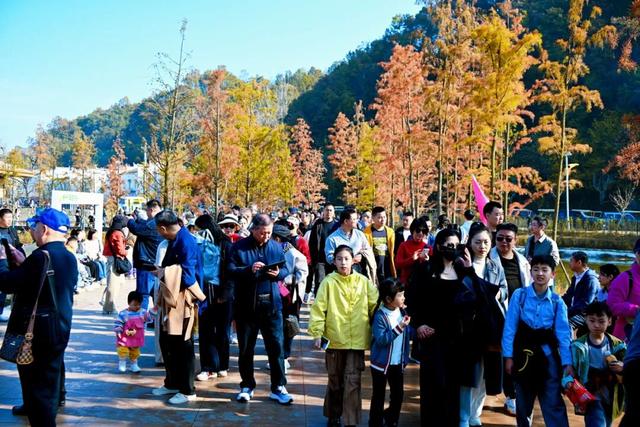 银杏谷旅游度假区缘何火爆出圈？