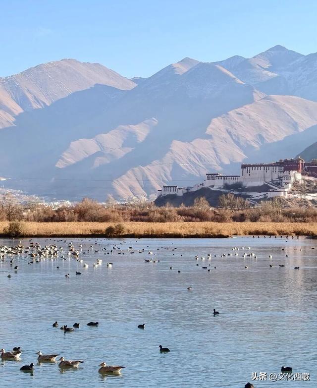 结冰后，美成油画！你见过这样的拉萨吗？