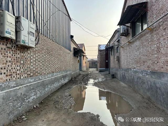 冠县乡韵·清水镇后井寨村