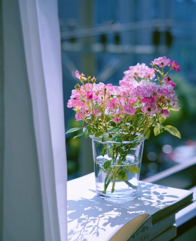 人生建议：停止喂养任何人