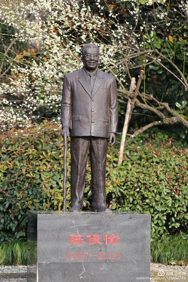 合肥首个古树公园来了！