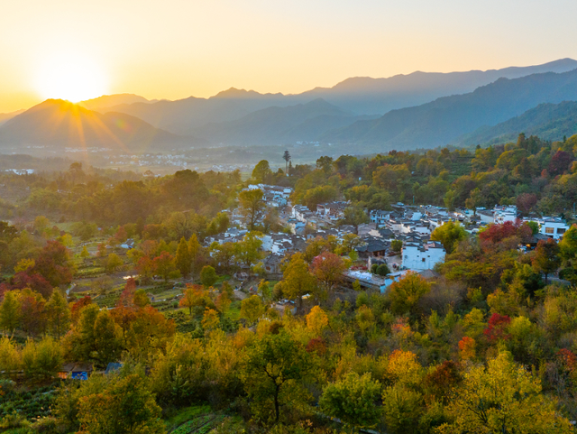 塔川秋色已上线！乌桕+民宿，等你来打卡~ | 皖美秋日