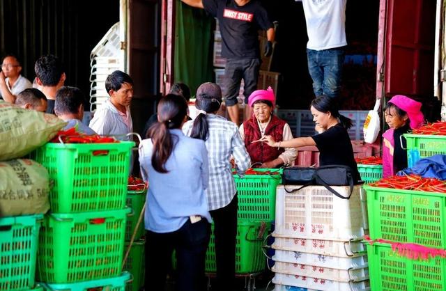 抢购潮席卷到菜市场，从白菜转战到辣椒，市民跟风忙抢购