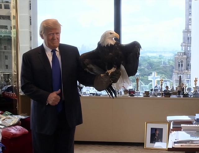 美军战机离奇坠入南海，仅仅24小时后，特朗普亲自宣布“破案”