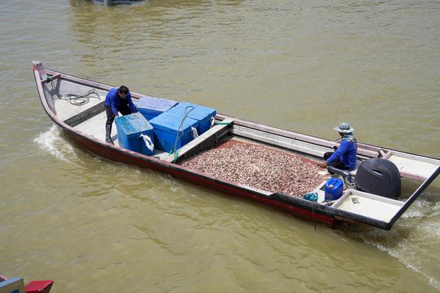 马来西亚新山 · 龟咯渔村｜把生活过成海风味的地方