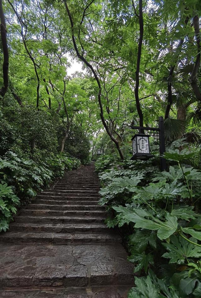 拯救高温周末！南京本地人私藏的6个清凉公园，免费又好玩，快冲