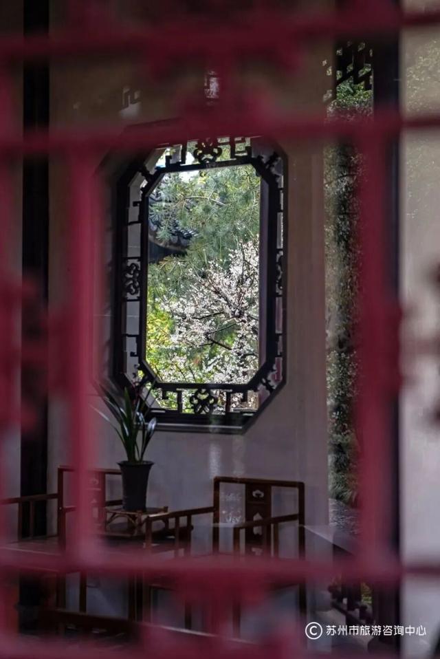 @林屿森，从苏州图书馆出发，去看看冬日书香苏城