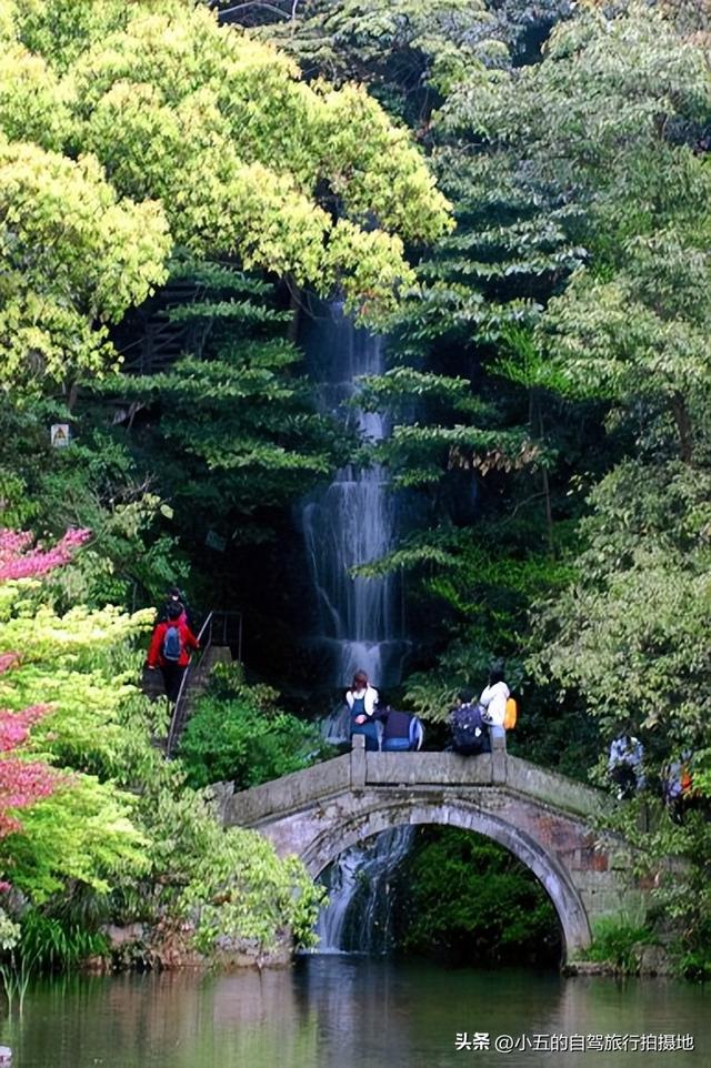 杭州人私藏的秋日秘境被曝光 泉水泡茶红叶铺道吃货来了就不想走