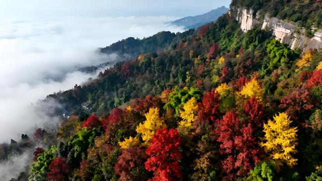 打卡金秋中国！渝州秋韵：山水间的斑斓诗意之旅