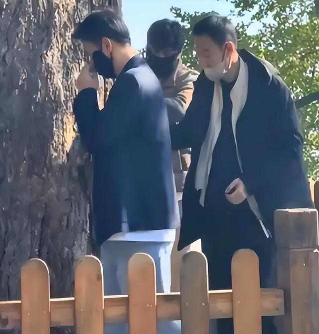 离春节不到2月，52岁辛柏青高调传出喜讯，朱媛媛终于可以放心了