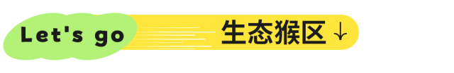 周末就冲！成都出发1.5H飙拢25℃峡谷瀑布森林吸氧！