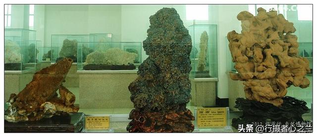 山东行游影记（31）—平邑天宇自然博物馆（六）