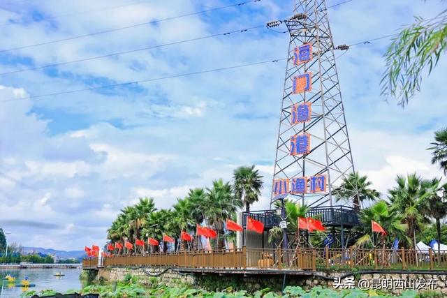 寻鸥潮玩！海口小渔村码头观鸥集市开市啦！