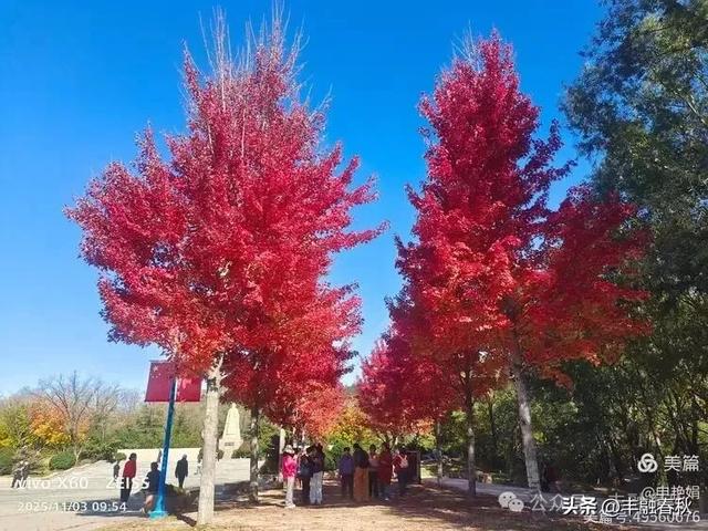 青岛即墨马山寻趣：一座地质公园的秋日私语｜申艳娟