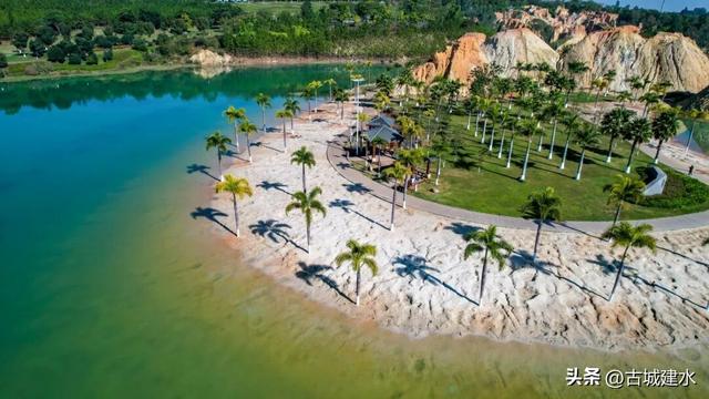 谁懂啊！建水五龙湖新来的黑天鹅，直接美成冬日童话