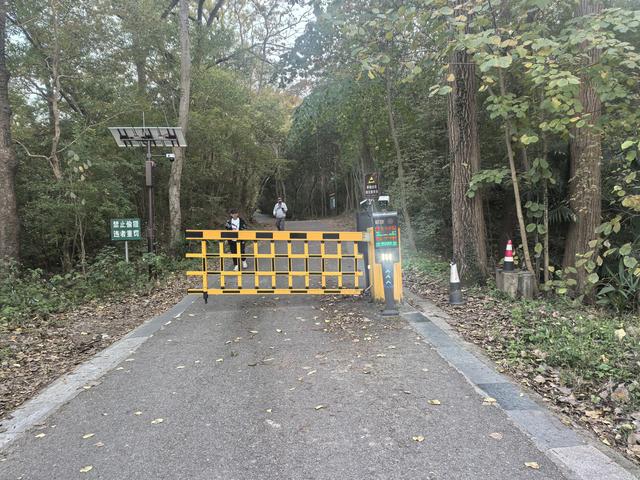 南京紫金山郊野徒步