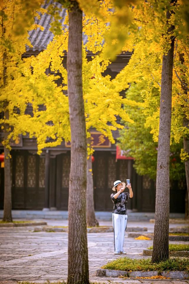 抓住秋天的尾巴 | 台儿庄古城秋色打卡指南，附私藏机位！