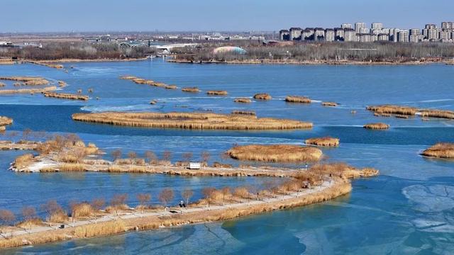 今天的银川，太！美！了！🤩