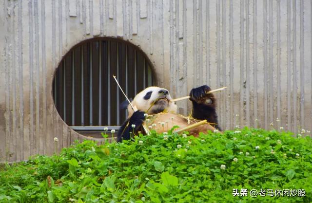 我带着相机，在耿达避暑