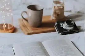 《月亮与六便士》：最好的婚姻不是相敬如宾，不是搭伙，而是这个图片