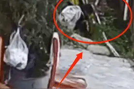 13岁男生将女生拖到草丛强行猥亵，现场哭声连连，警方介入图片