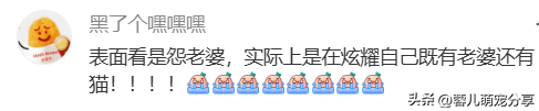 男子吐槽老婆是为了猫才和他结婚的，本来不信，结果哈哈笑喷了！