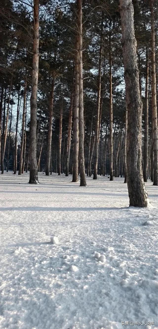 今日冬至，“不怕冬至雪，就怕冬至晴”，天晴有啥预兆，老人咋说