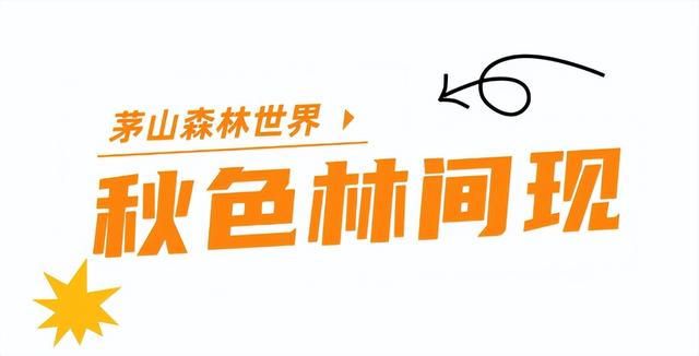 不敢相信，就这么水灵灵地开学了......