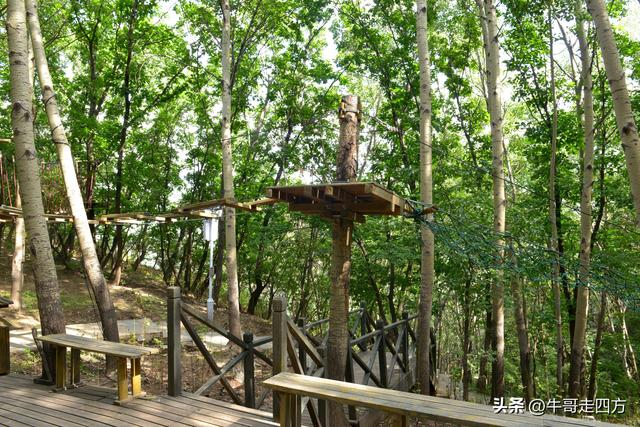 河北百草畔（上）：风动孤石悬险韵，蚁巡深岭蕴生机