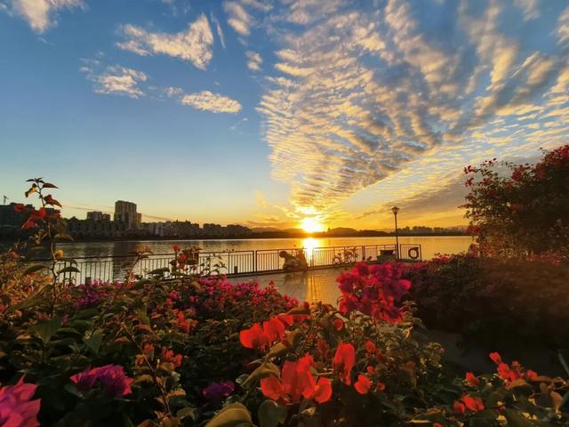 初冬限定！星湖美景焕新上线，打卡要趁早~