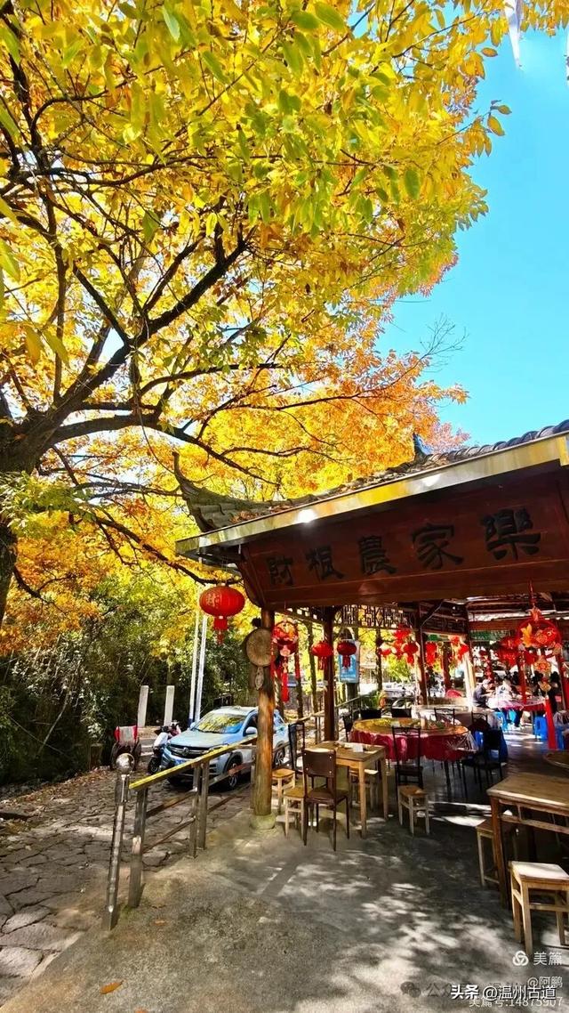 踏秋胜地，天脊龙门！浙江这个4A级景区已美成童话，等你来打卡