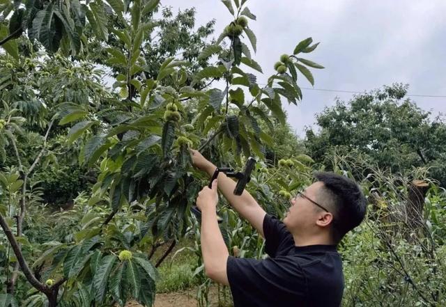三好·唐山好网民丨高子博：从电商“弄潮儿”到助农“新标杆”